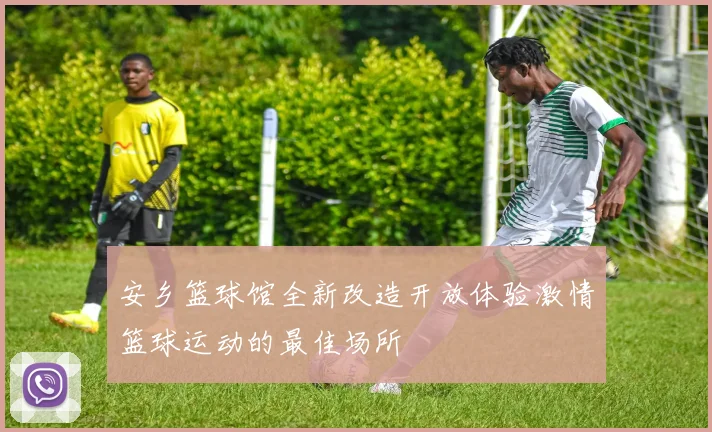 安乡篮球馆全新改造开放体验激情篮球运动的最佳场所