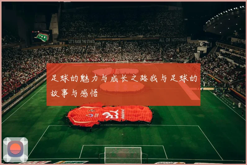 足球的魅力与成长之路我与足球的故事与感悟