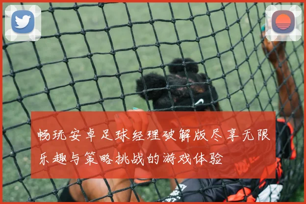 畅玩安卓足球经理破解版尽享无限乐趣与策略挑战的游戏体验