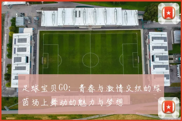 足球宝贝GO：青春与激情交织的绿茵场上舞动的魅力与梦想