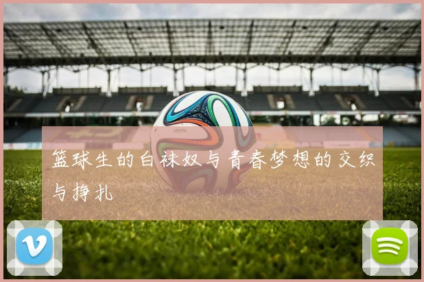 篮球生的白袜奴与青春梦想的交织与挣扎